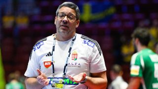 Férfi kézilabda Eb Magyarország Svédország Chema Rodríguez