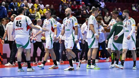 A magyar kézilabda-válogatott.