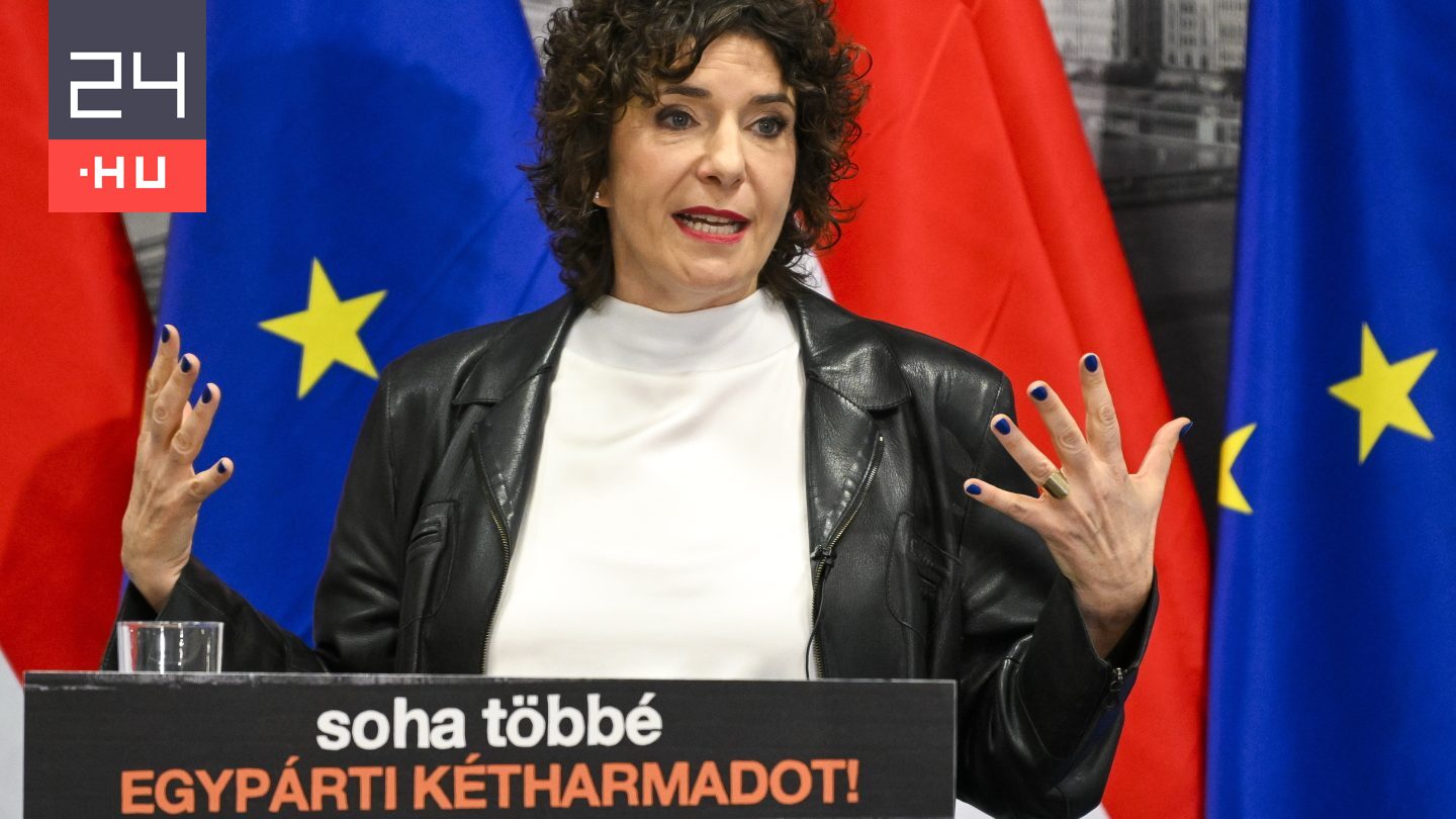 Dobrev Klára mentelmi jogának felfüggesztését kezdeményezték