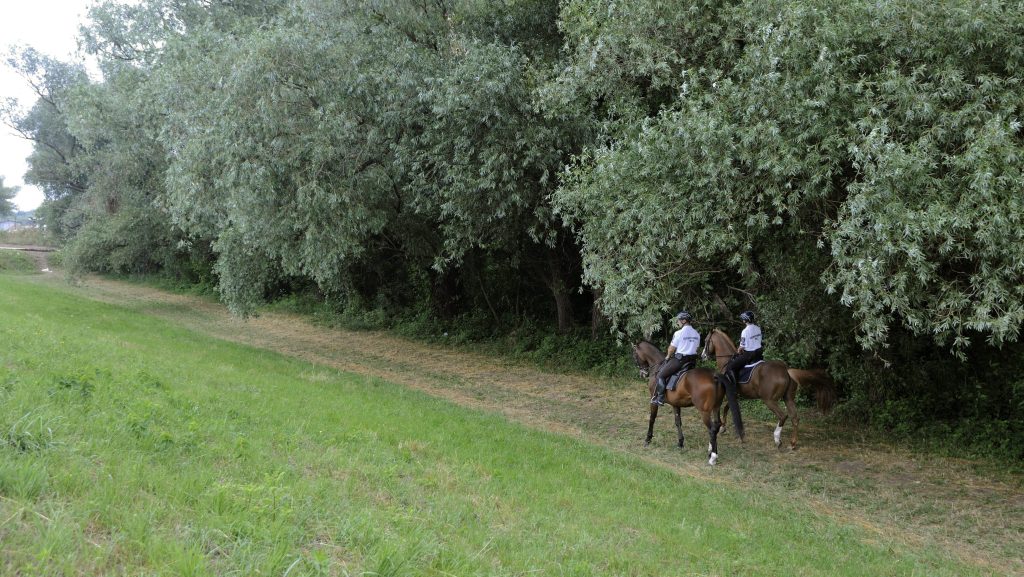 Autóval hajtott neki egy lovas rendőrnek, majd felgyújtotta kocsiját