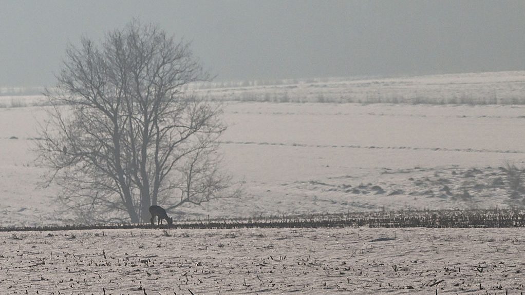 Ilyen idő lesz a hétvégén
