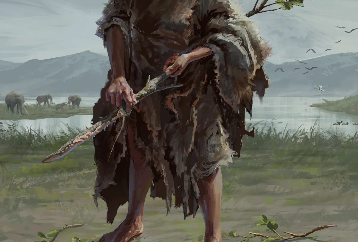 A világ legrégebbi fatárgyai átírhatják az emberi eszközhasználat történetét