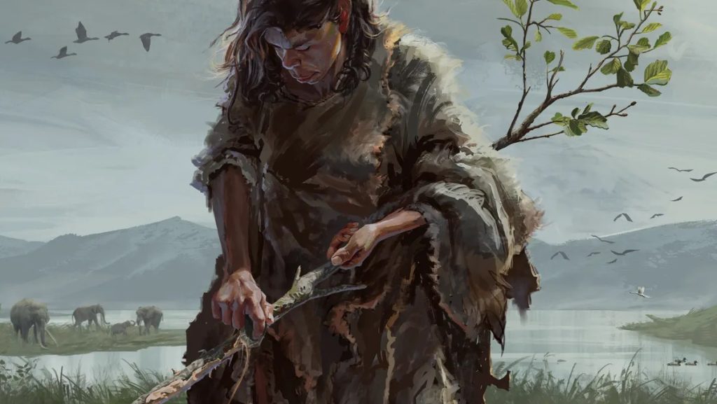 A világ legrégebbi fatárgyai átírhatják az emberi eszközhasználat történetét