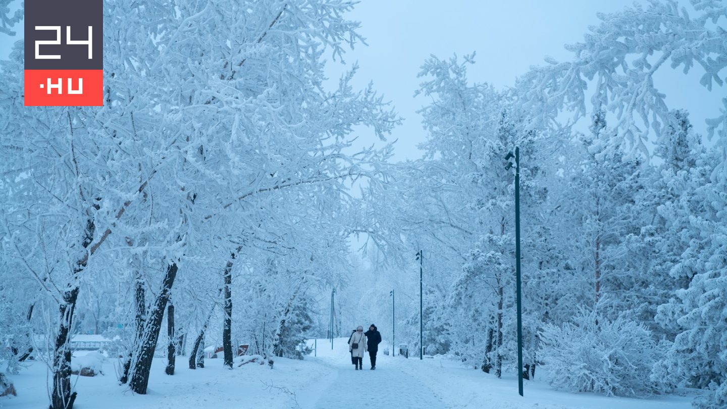 Tényleg vannak felrobbanó fák Amerikában?