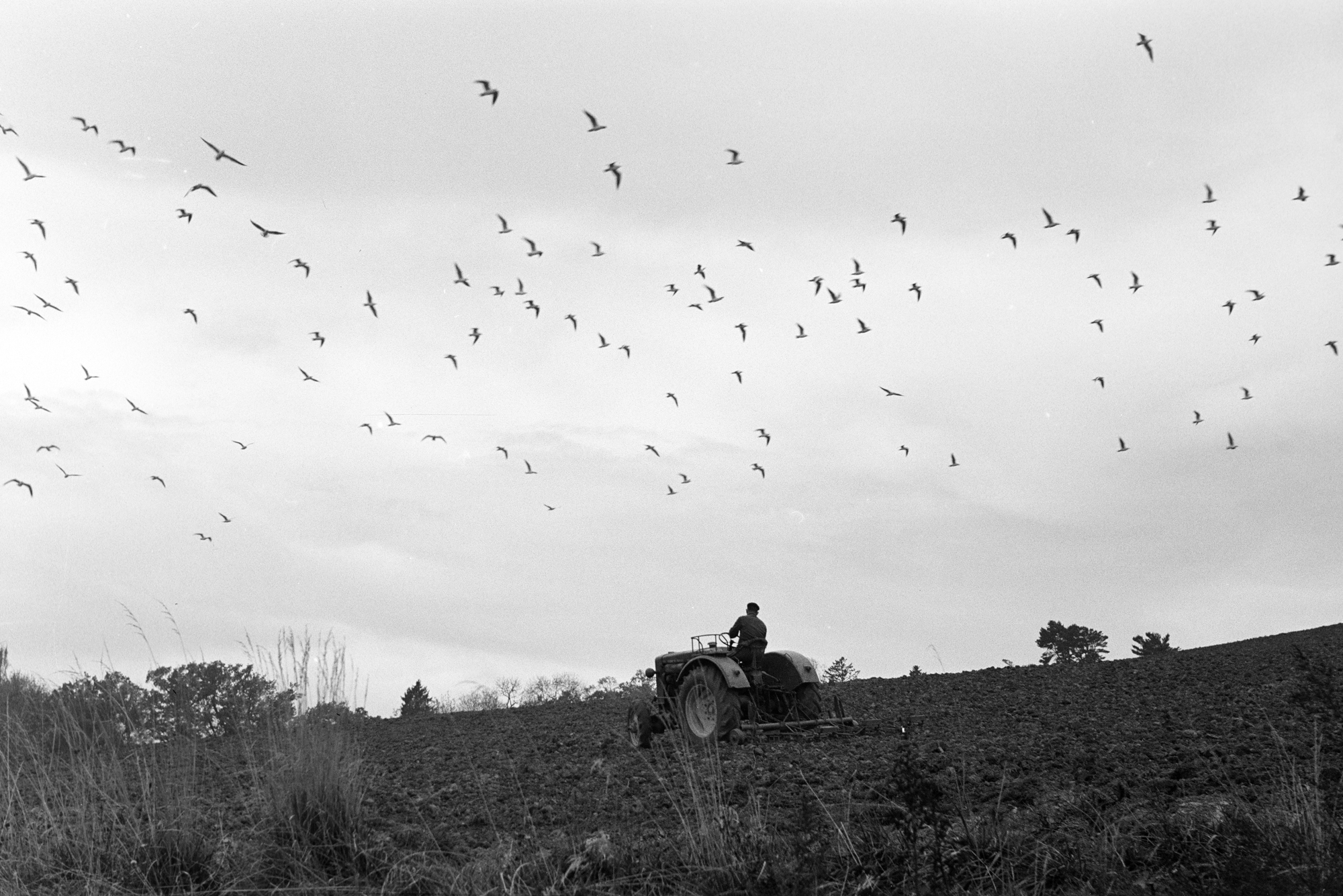 2025 fortepanos kedvencei – és 30 izgalmas darab a 9 ezer friss fényképből 20