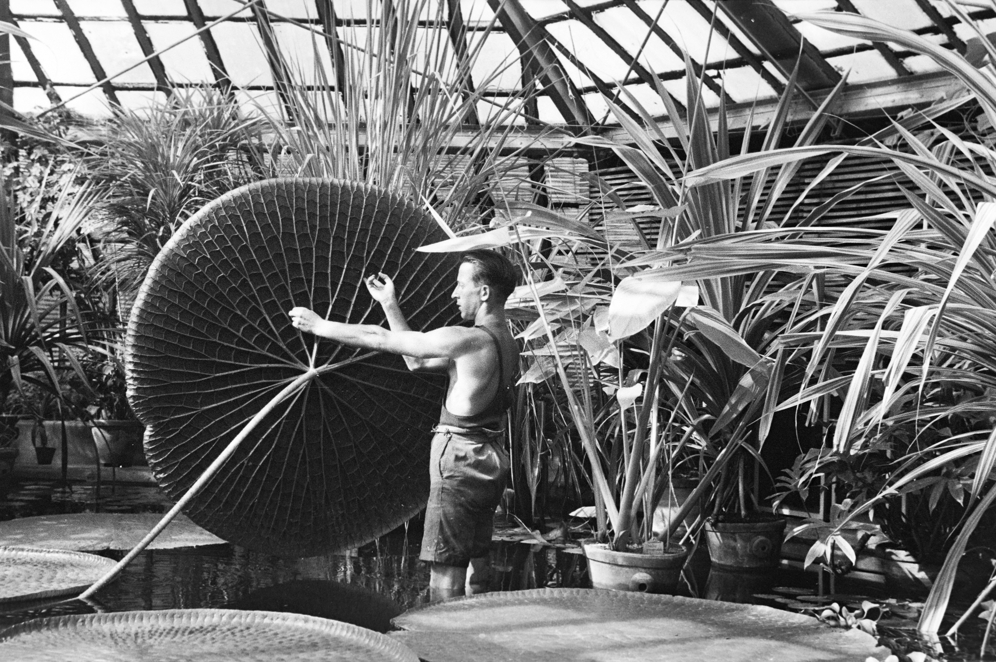 2025 fortepanos kedvencei – és 30 izgalmas darab a 9 ezer friss fényképből 12