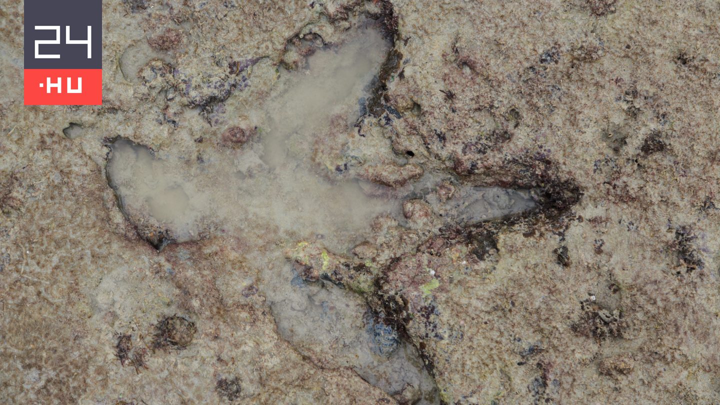 Így tudnak több millió évig fennmaradni a dínólábnyomok