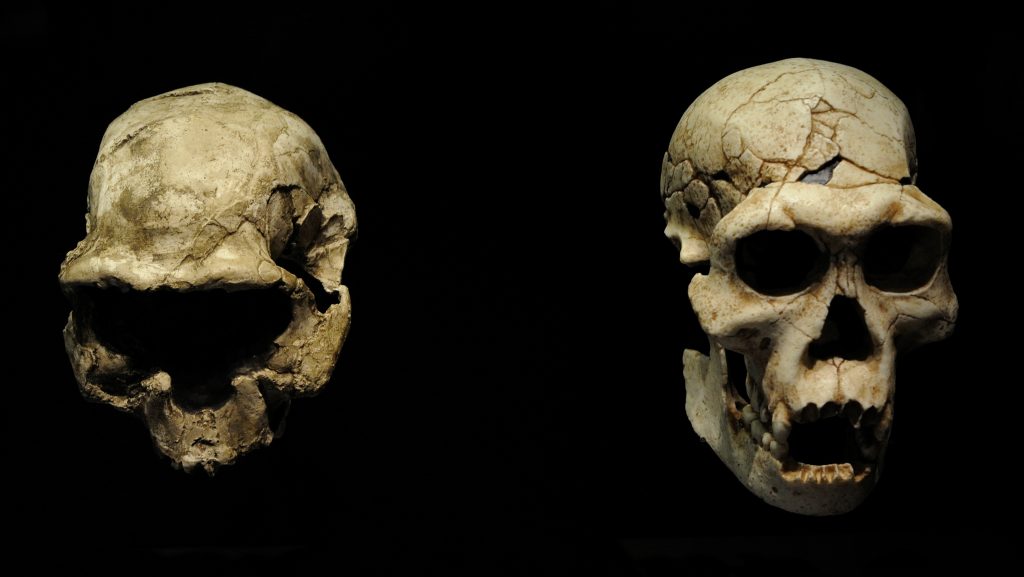 Tévedhettünk az emberi őstörténettel kapcsolatban