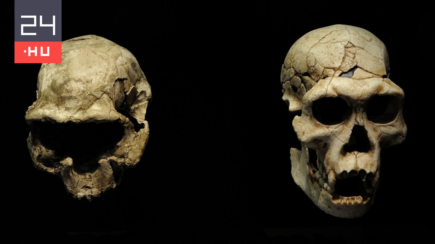 Tévedhettünk az emberi őstörténettel kapcsolatban