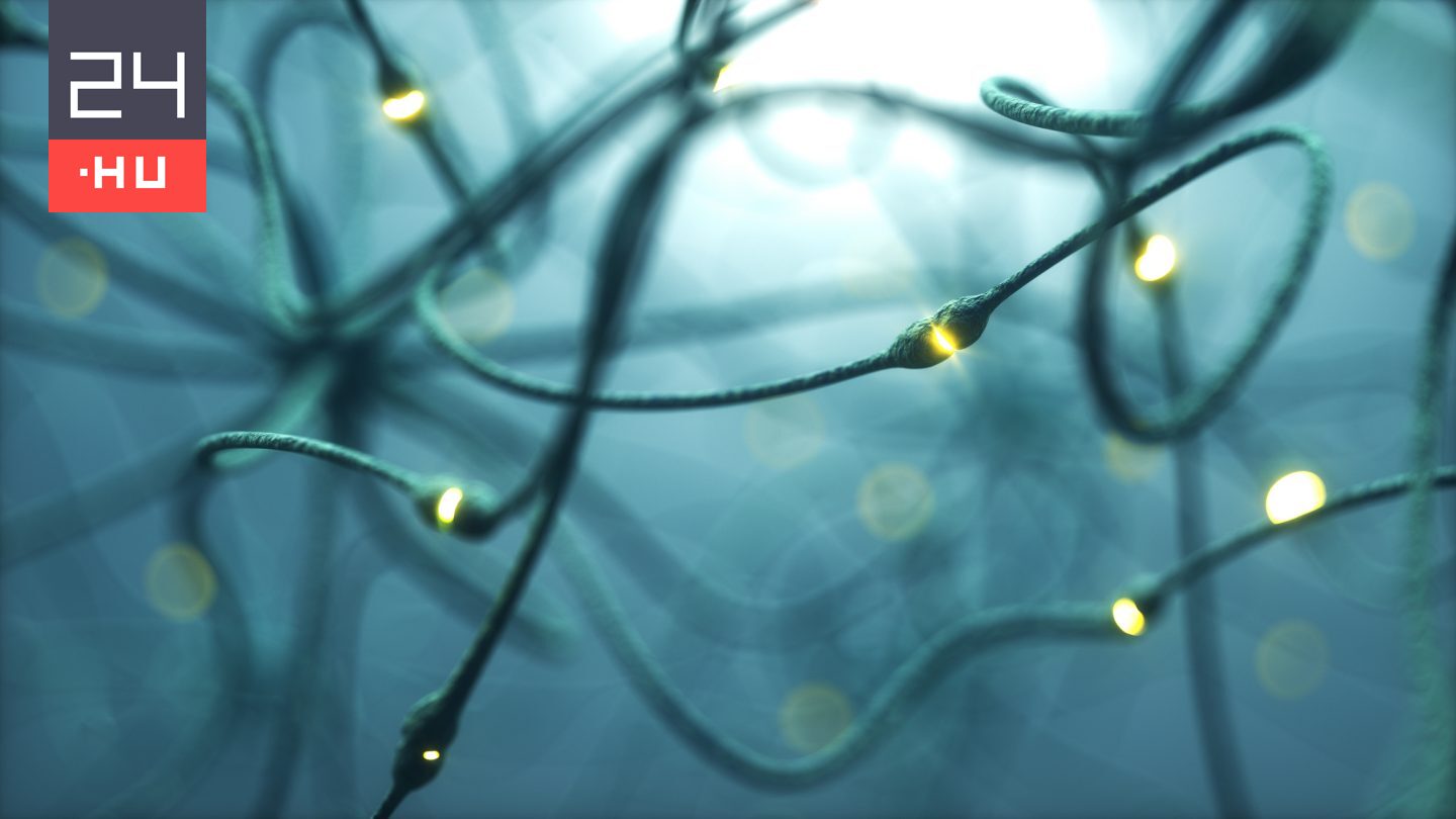 Öngyógyításra képes mesterséges idegpályát alkottak