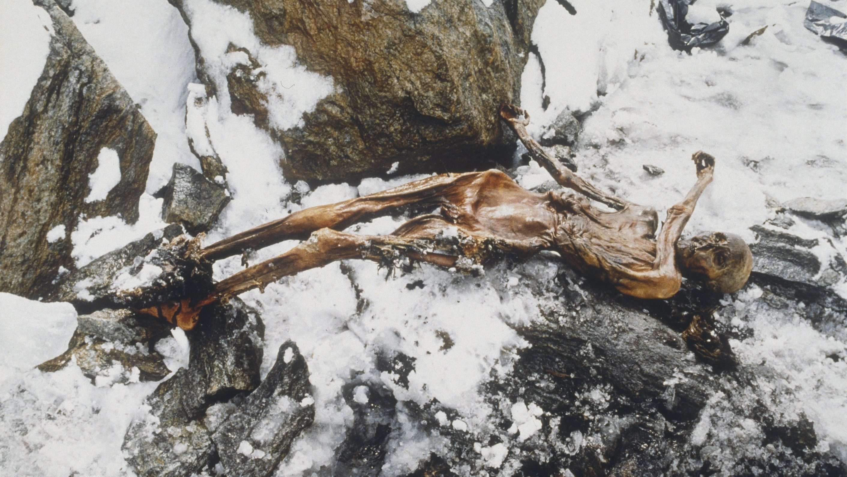 ötzi, jégmúmia, kutatás