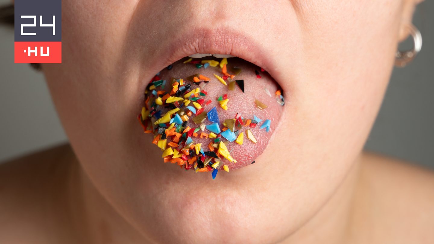 Tudósok vitatnak számos, mikroműanyagokkal kapcsolatos kutatást