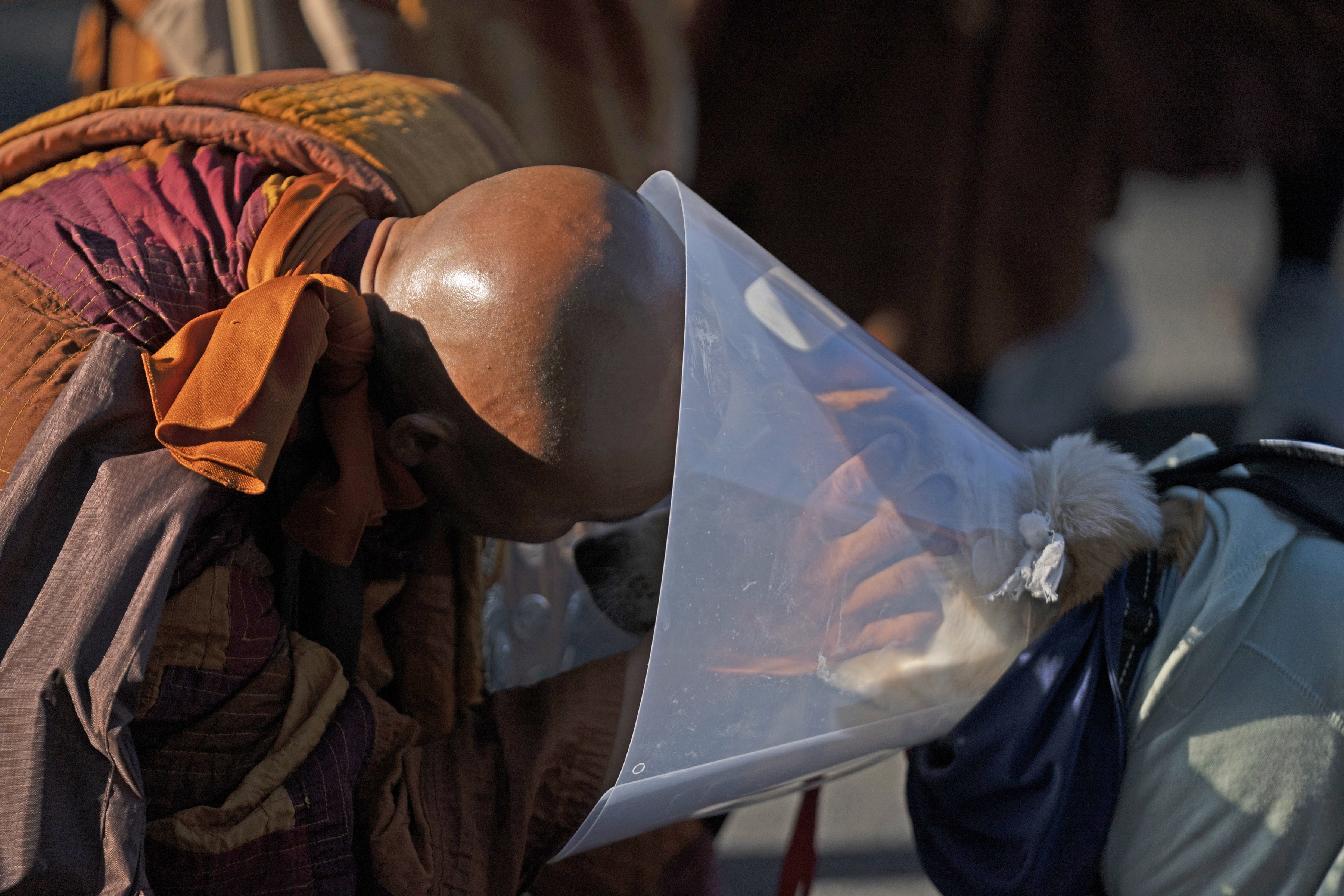 aloka, békekutya, séta a békéért, buddhista szerzetesek, egyesült államok