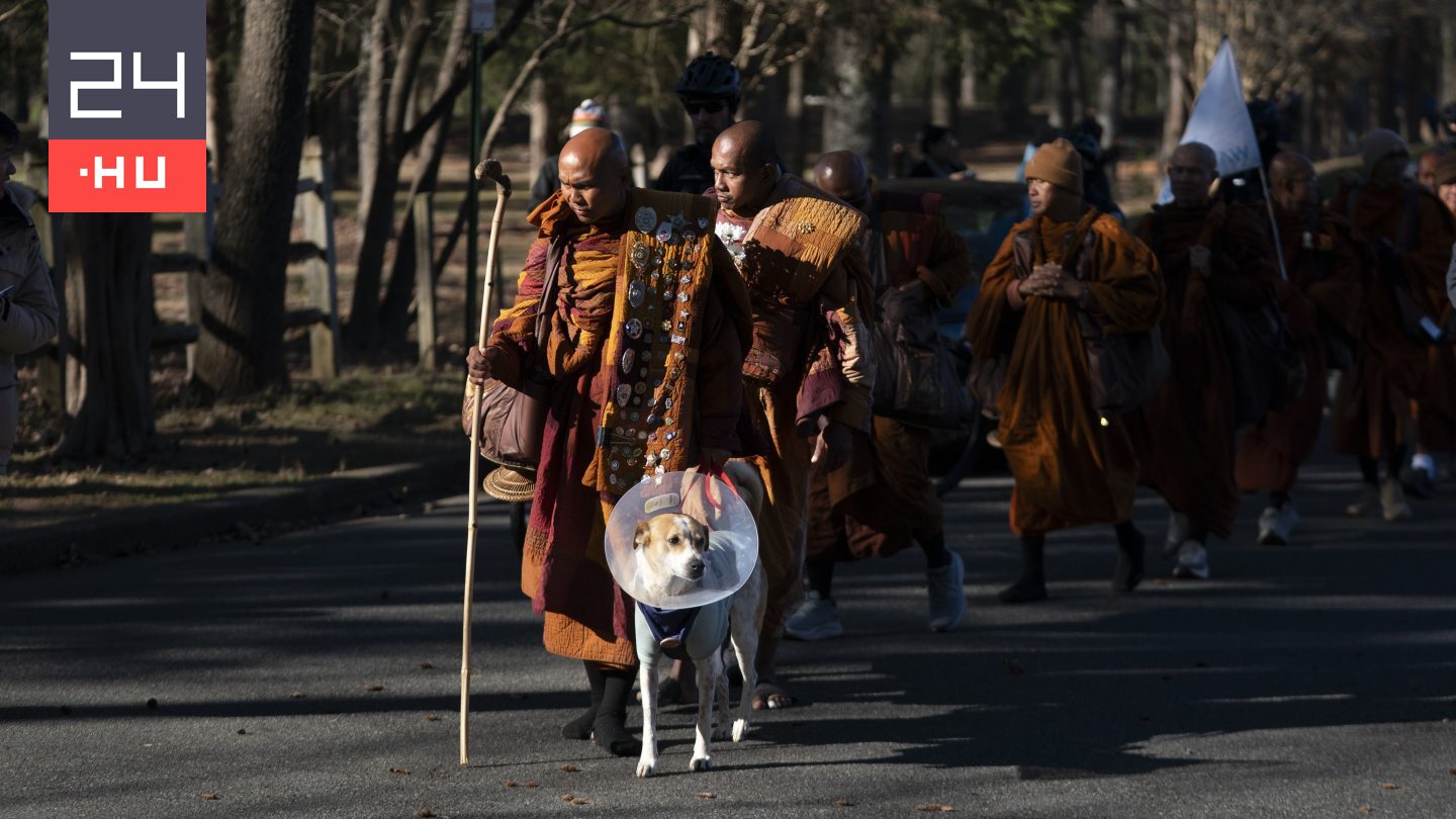 Megműtötték Alokát, a „békekutyát”, aki 80 napig gyalogolt buddhista szerzetesekkel