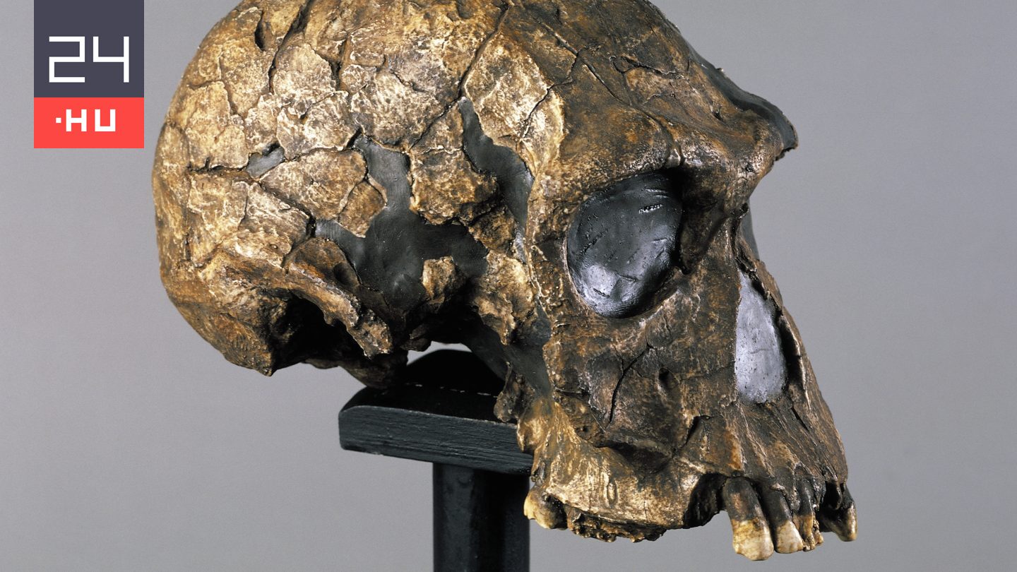 Új részletek derültek ki a világ első embereiről