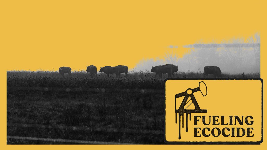 Hiába védett, mégis veszélyben van: így károsíthatja a fosszilis ipar a természetvédelmi területeket