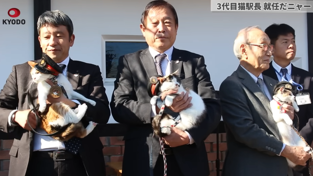 Átvette állomásfőnöki megbízatását Jonotama, a trikolór cica