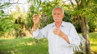 Koltai János ádándi birtokán 2016-ban