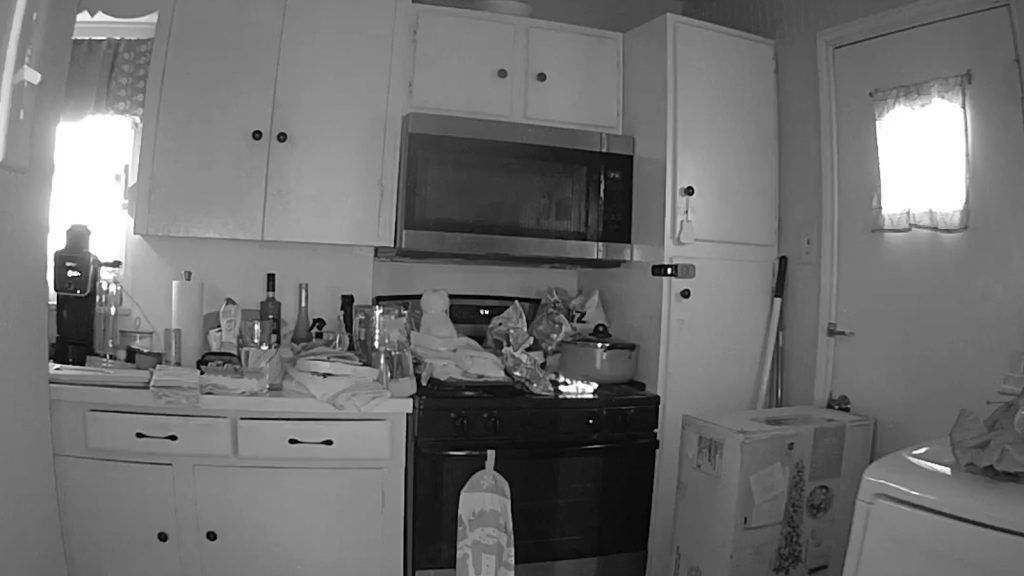 Videón, ahogy egy macska kis híján felgyújt egy lakást