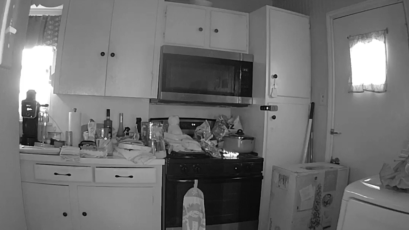 Lángra kap a konyha egy macska miatt