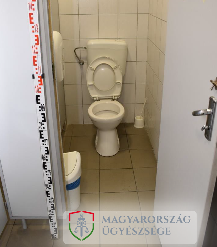 15 év fegyházat kértek a 28 éves jászsági nőre, aki munkahelye vécéjében megszülte, majd lezárt kukászacskóban elrejtette babáját