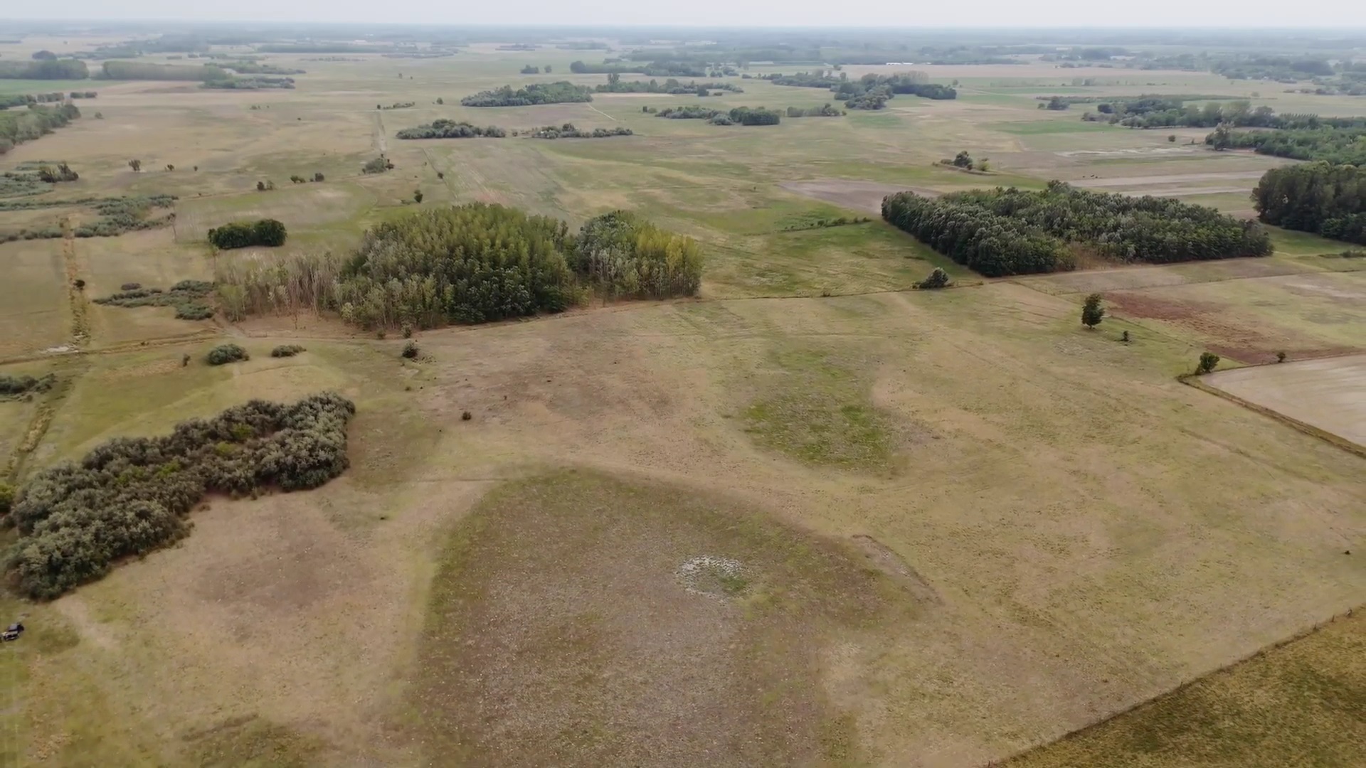 Száraz legelő Marospusztán.