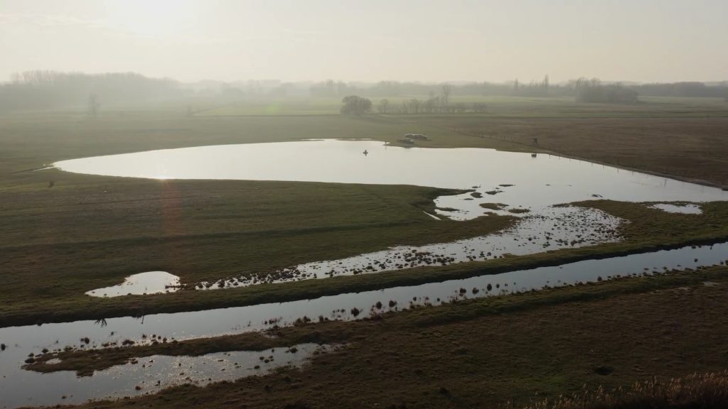 Elárasztott legelő Marospusztán.