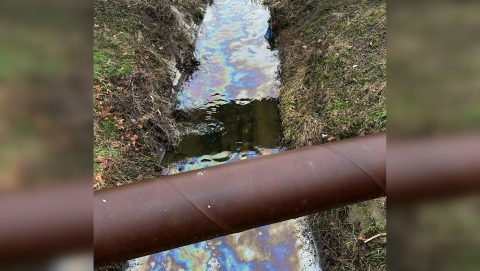 Olajszennyezés a Rákos-parakon.