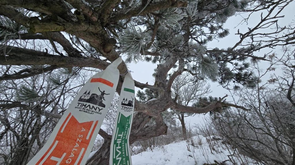 Meghalt egy futó a Tihany Trail hétvégi versenyén