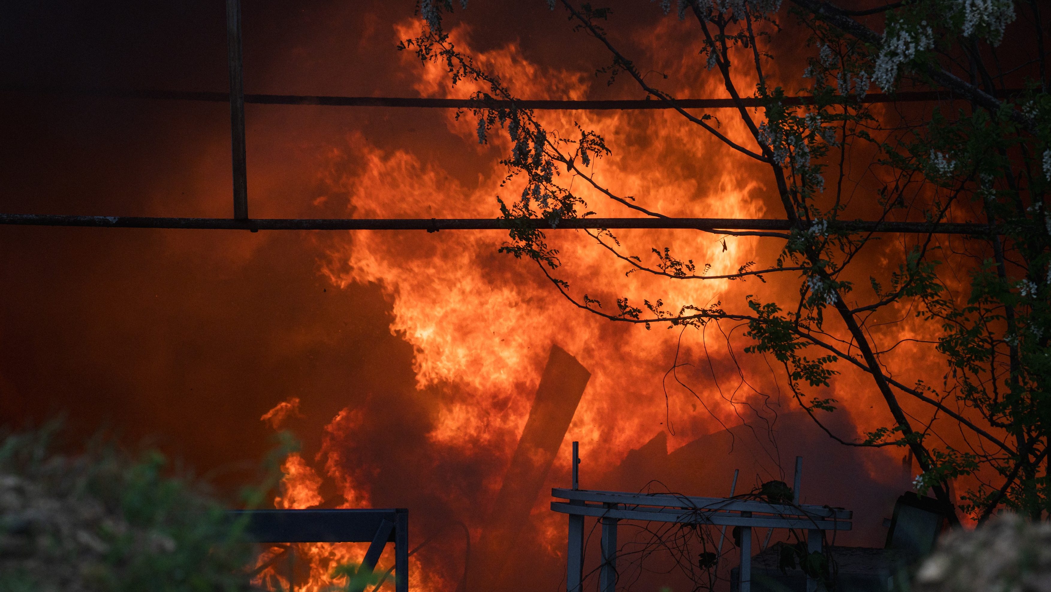 tűz