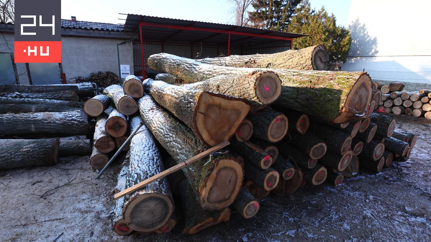 Elhatárolódik az ingyenes tűzifaosztástól Bajót polgármestere, mert a kedvezményezettek között szerinte számos nem rászoruló is található