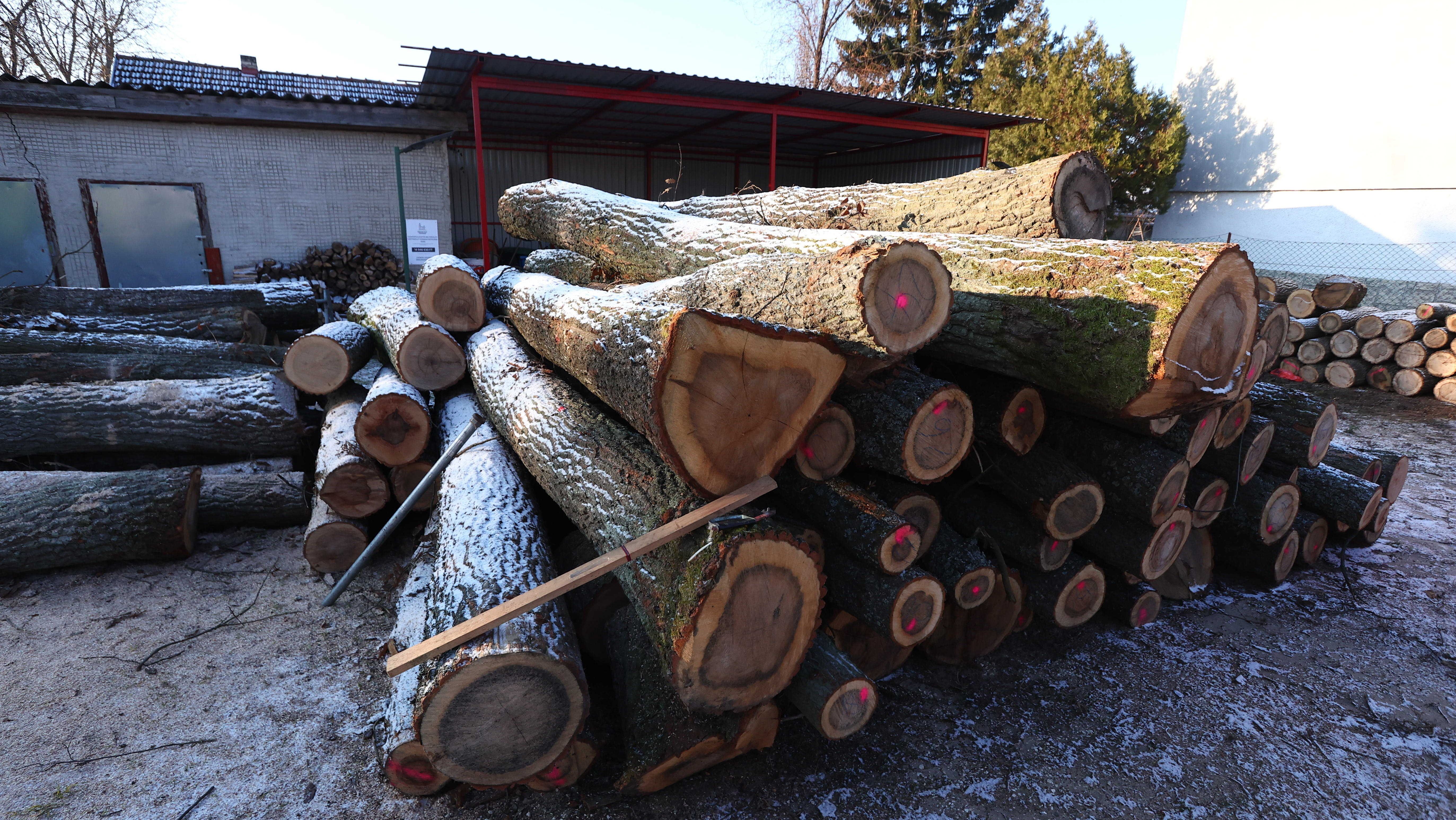 Szociális tűzifa osztása Magyarországon.