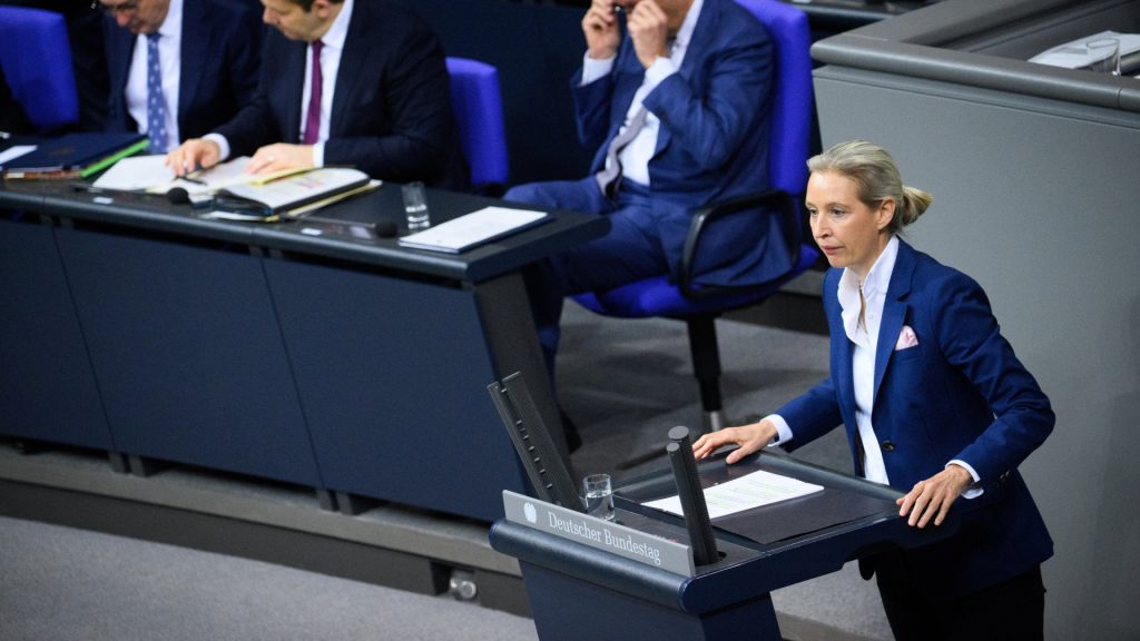 Alice Weidel, AfD