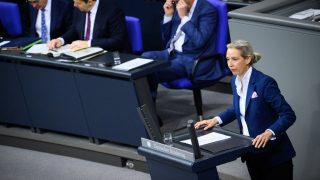 Alice Weidel, AfD