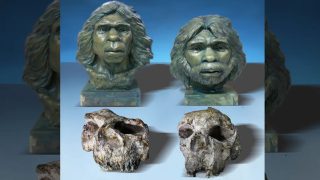 jünhszieni koponyák, kutatás, felfedezés, kína, leletek, homo erectus
