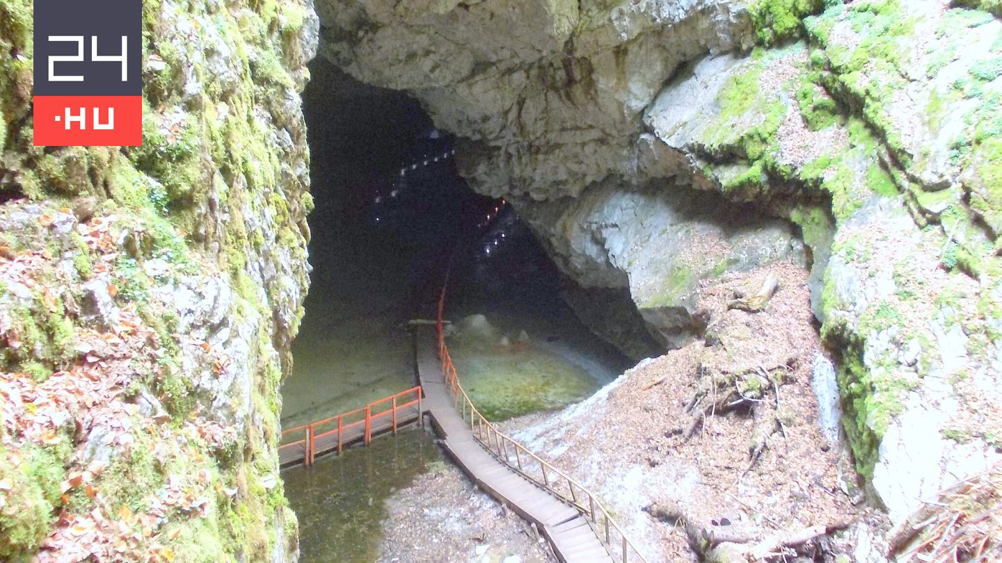 Ötezer éves baktériumtörzset fedeztek fel Erdélyben