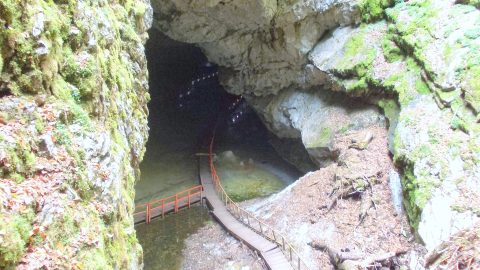 Az Aranyosfői-jégbarlang.