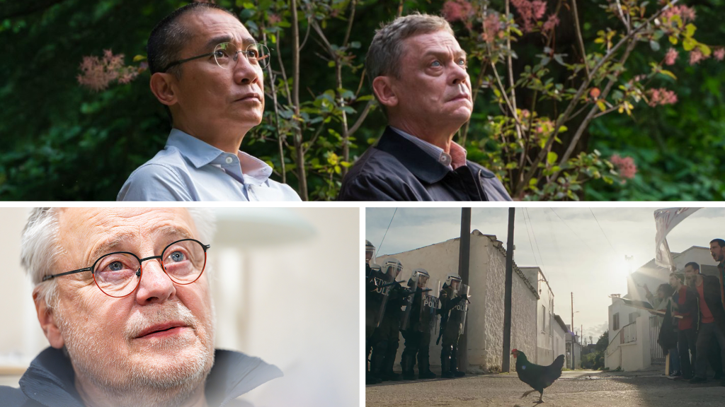 24/7: Egy csirke, egy fa és egy színházigazgató