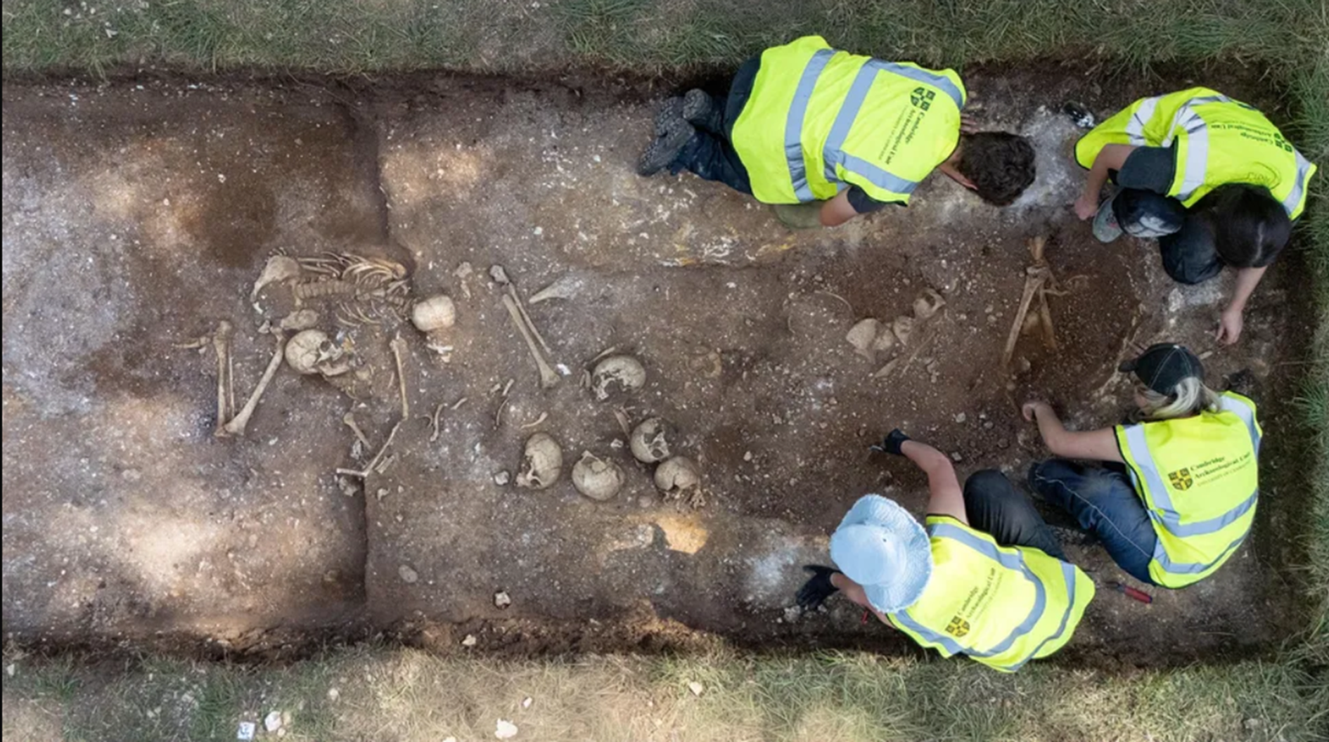 cambridge, régészet, ásatás, óriás, kutatás, csontvázak, kivégzés, csata, harc