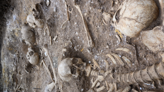 cambridge, régészet, ásatás, óriás, kutatás, csontvázak, kivégzés, csata, harc