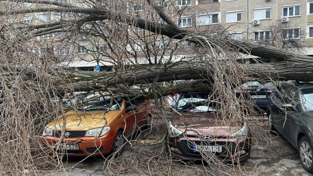 Négy-öt autót összenyomott egy kidőlt fa Békásmegyeren