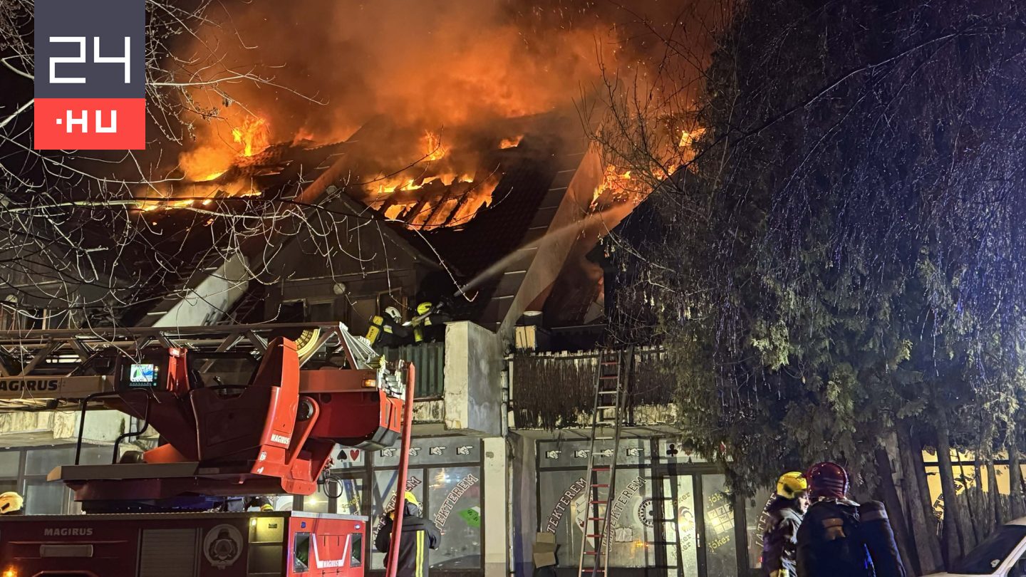Budakeszi tűzvész: megdöbbentő részletek láttak napvilágot