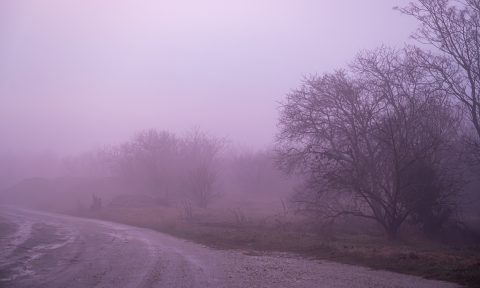 Mindent elborít a köd.