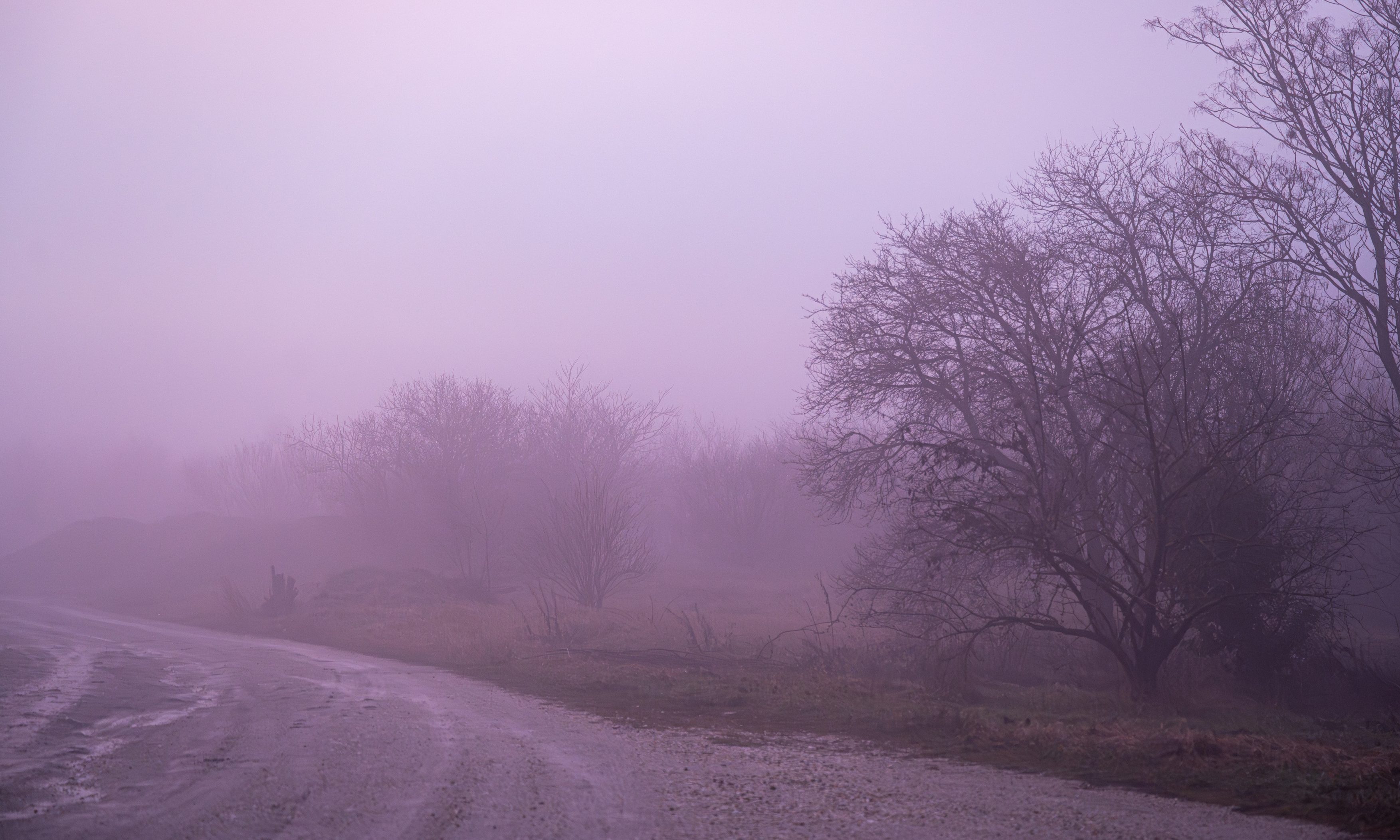 Mindent elborít a köd.