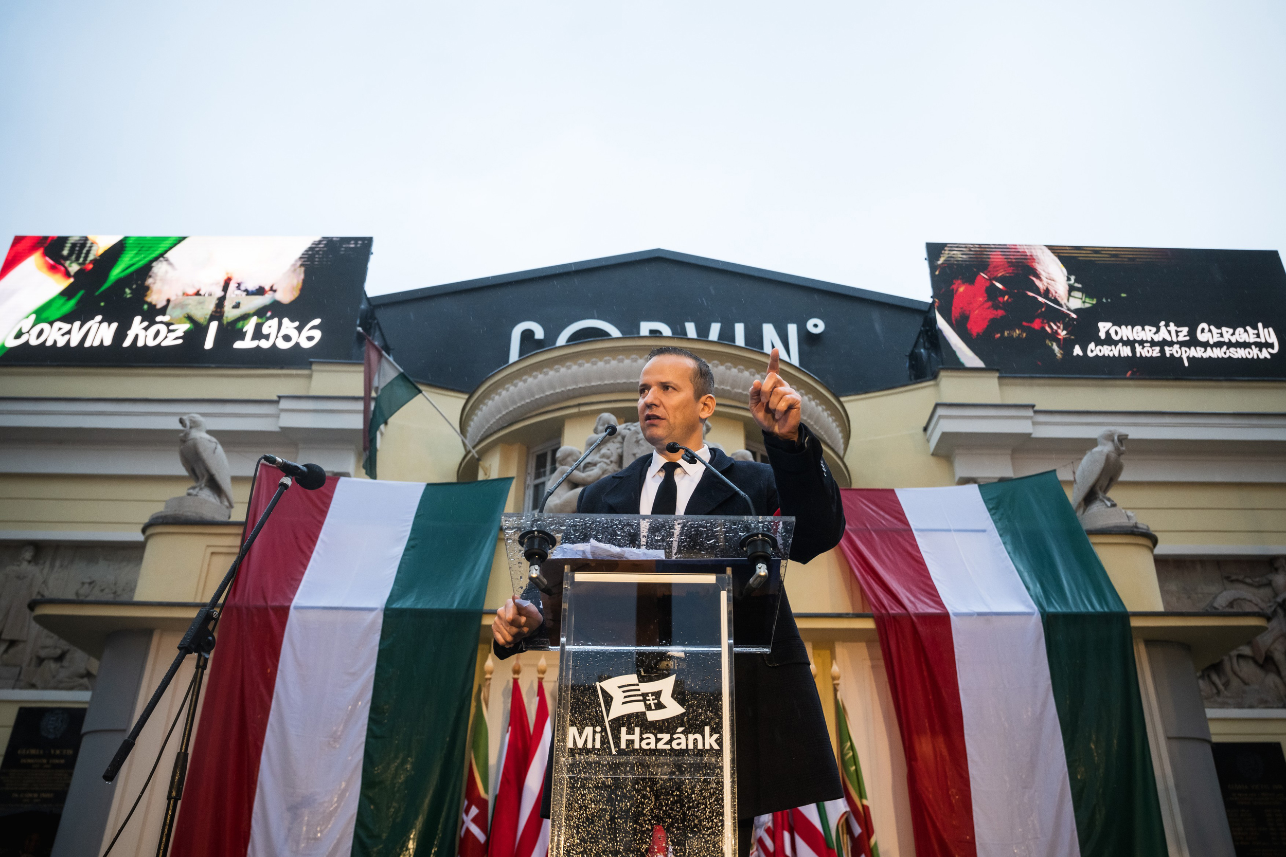 Schultz Nóra: A kispárt, amit nem az indulás miatt piszkálnak 1