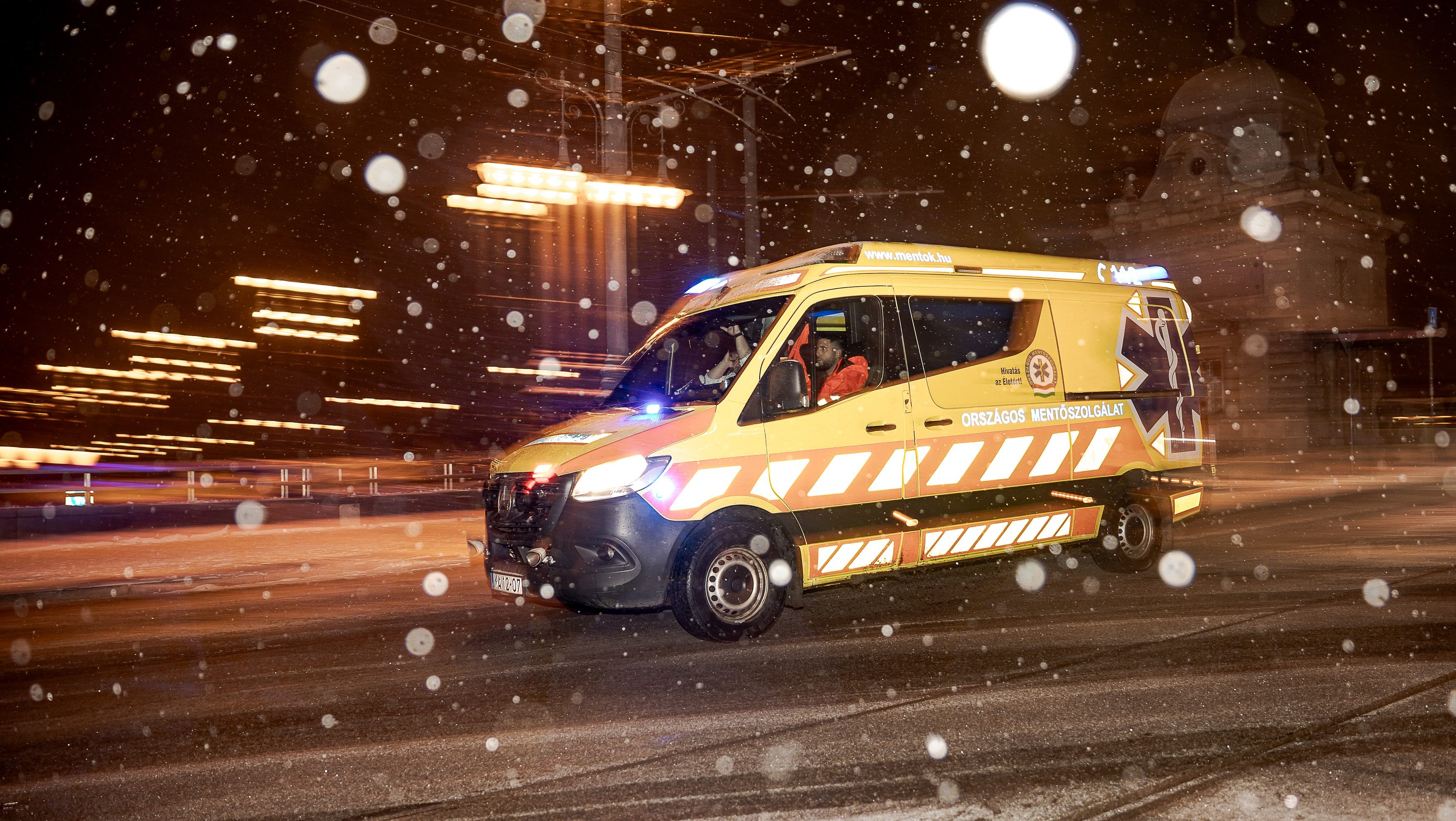 hideg, fagy, tél, hőség, hőhullám, szívleállás, magyar kutatók, kutatás