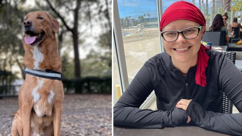 chase johnson-cleveland clinic