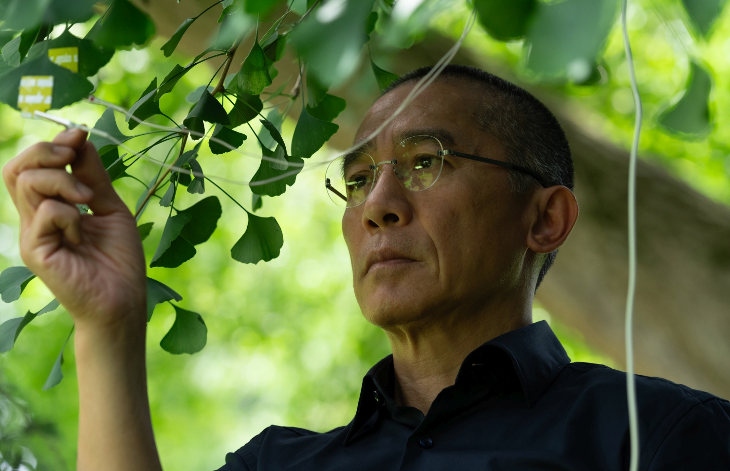 Kinőtt a földből az év legjobb magyar filmje 3