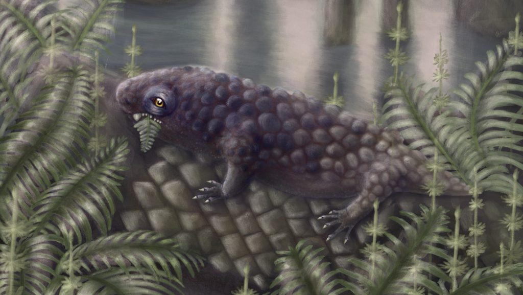 Ez a furcsa lény lehetett a világ egyik első növényevője