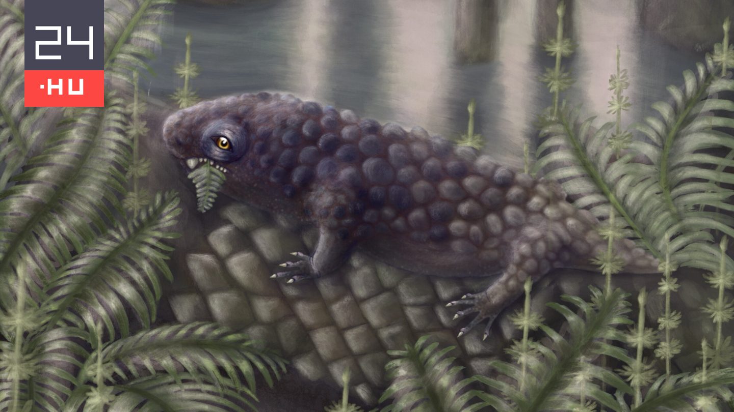 Ez a furcsa lény lehetett a világ egyik első növényevője